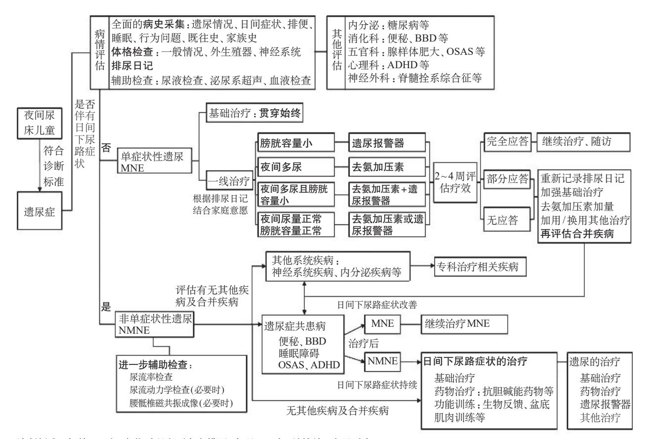 【中国儿童遗尿症疾病管理专家共识(2025年)】儿童遗尿症诊疗流程图