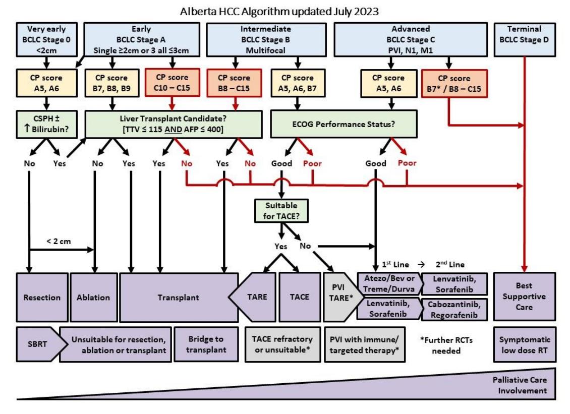 【Clinical practice guidelines and real-life practice in hepatocellular carcinoma: A Taiwan perspective】Hepatocellular Carcinoma (HCC) Treatment Algorithm