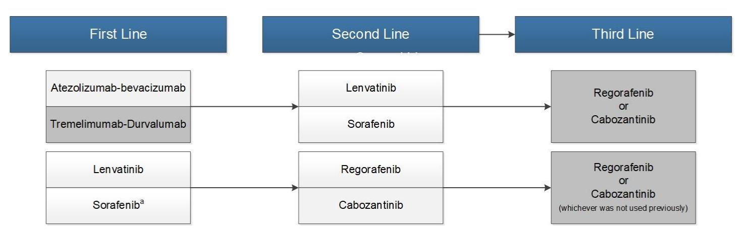 【APASL clinical practice guidelines on systemic therapy for hepatocellular carcinoma-2024】Sequential systemic treatment strategy for advanced HCC