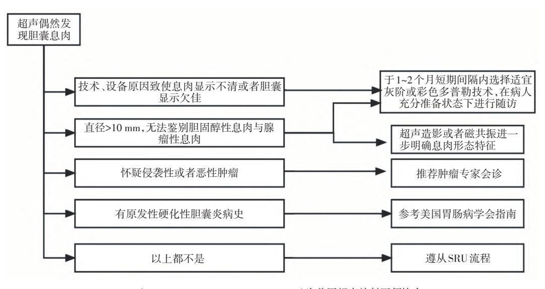 【《美国超声放射医师学会胆囊息肉管理共识(2022)》解读】胆囊息肉超声诊断与管理临床路径图