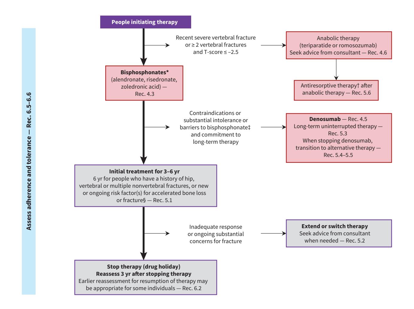 【Clinical Management Algorithm】骨质疏松症治疗决策流程图