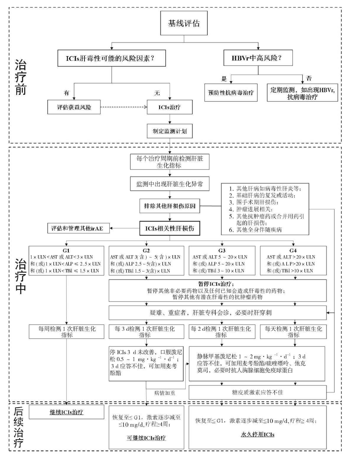 【中国药物性肝损伤诊治指南(2023年版)】免疫检查点抑制剂(ICIs)相关肝损伤管理流程图