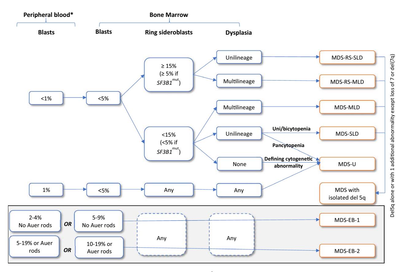 【Guidelines for the diagnosis and evaluation of prognosis of adult myelodysplastic syndromes】Diagnostic algorithm for Myelodysplastic Syndromes (MDS)