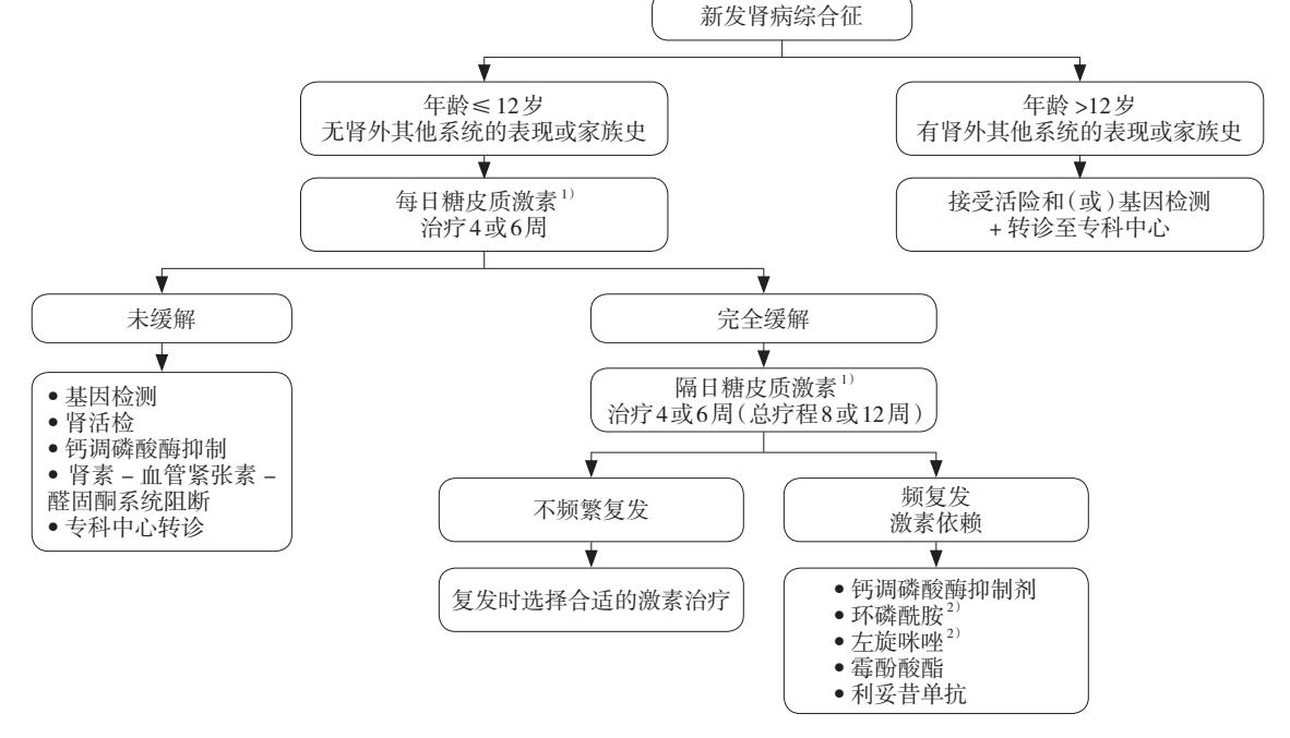 【《KDIGO 2025版儿童肾病综合征临床实践指南》解读】诊疗路径图