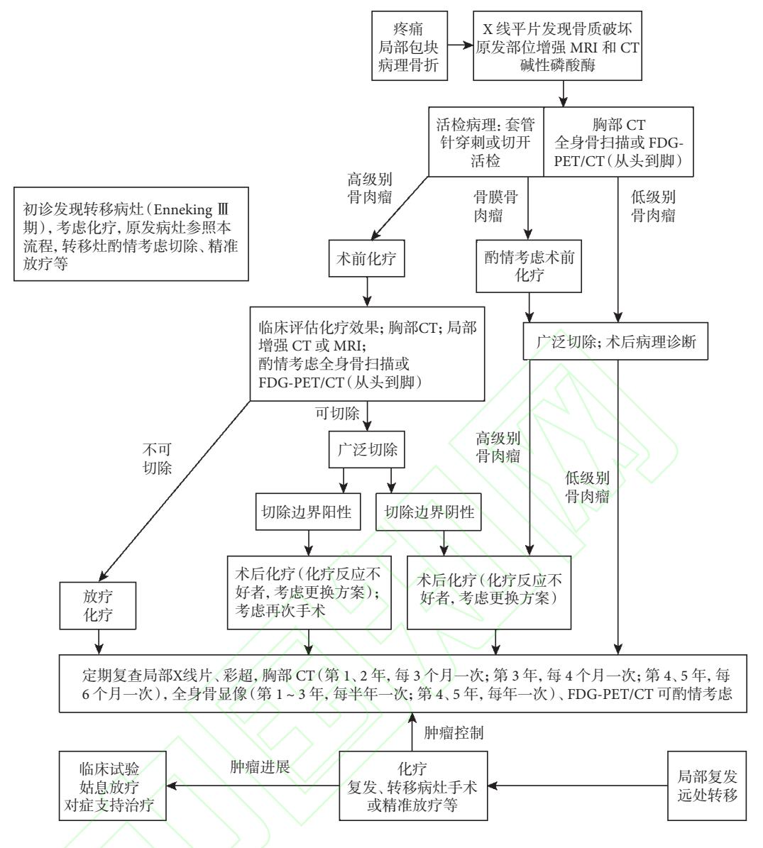 【骨肉瘤诊疗指南(2025年版)】骨肉瘤诊疗流程