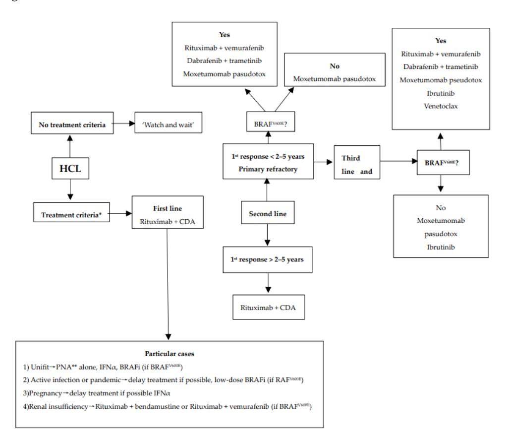 【毛细胞白血病治疗流程图】Hairy Cell Leukemia Treatment Algorithm