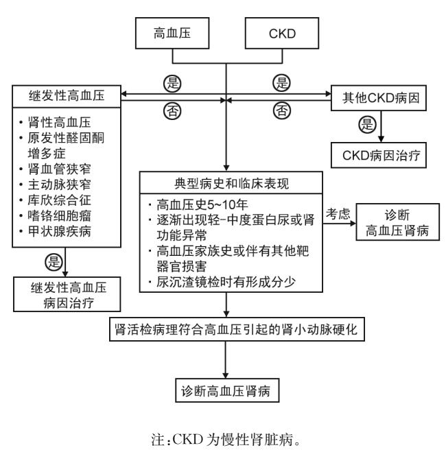 【高血压肾病诊断和治疗中国专家共识(2022)】临床诊断流程图