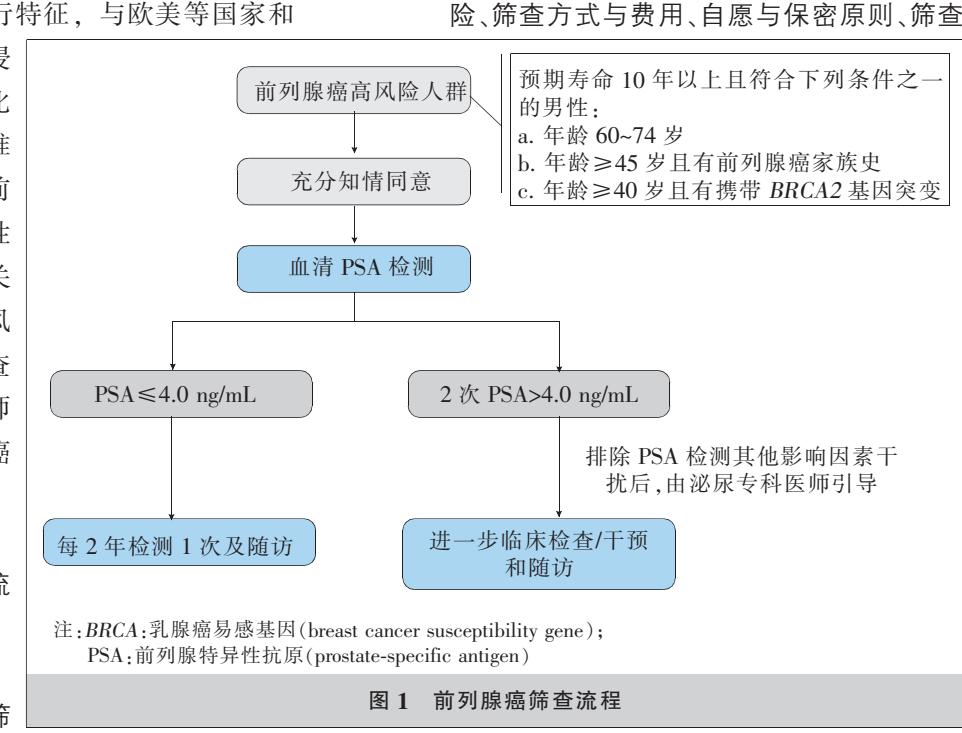 【中国抗癌协会男性生殖系统肿瘤专业委员会前列腺癌指南患者版(2025版)】前列腺癌筛查路径图