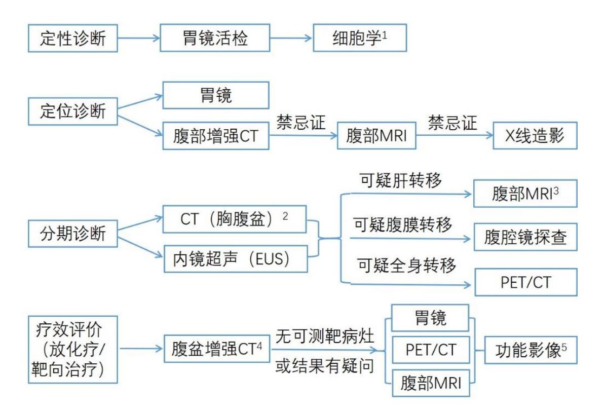 【胃癌诊疗指南 (2022年版)】诊疗流程图