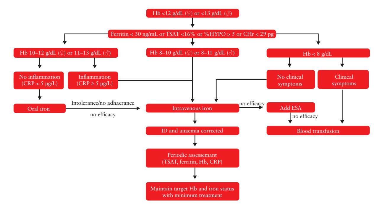 【Iron Deficiency and Anemia Management Algorithm】铁缺乏及贫血管理流程图