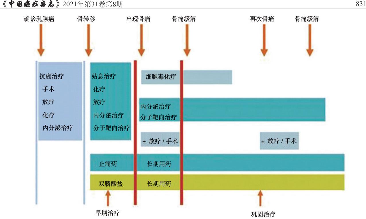 乳腺癌骨转移诊疗流程图