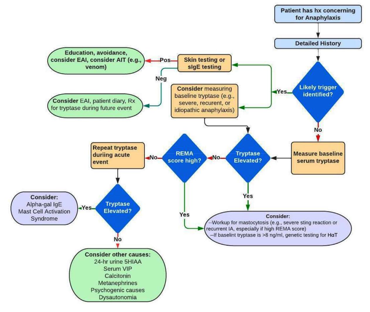 【Clinical Flowchart】Diagnostic Pathway for Suspected Anaphylaxis
