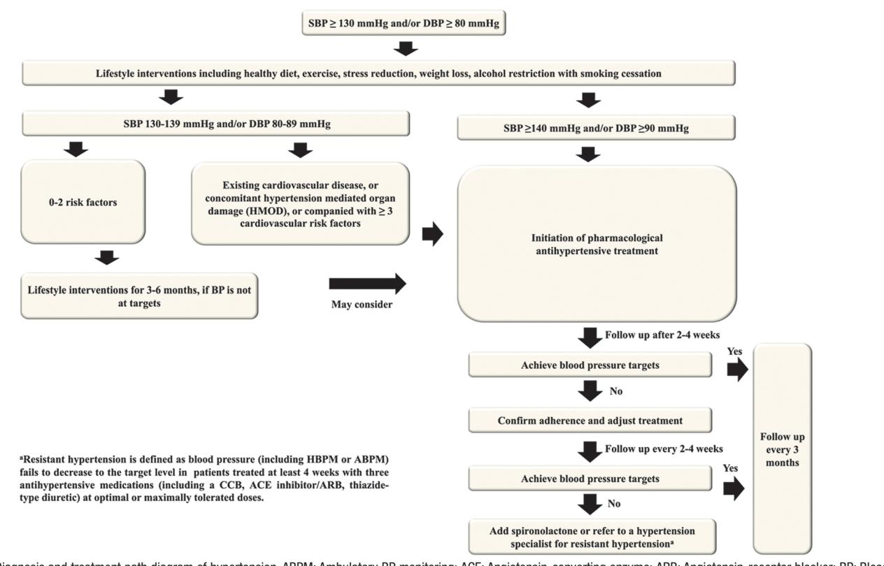 【2024 Chinese Hypertension Guidelines】Hypertension Management Algorithm