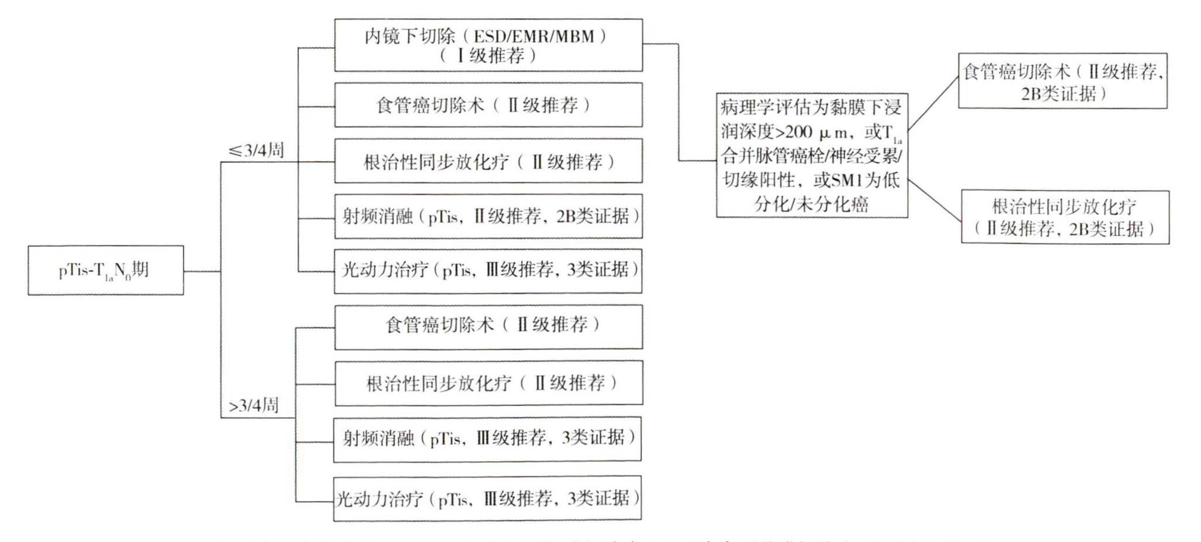 【中国食管癌放射治疗指南(2024年版)】食管癌诊疗路径流程图