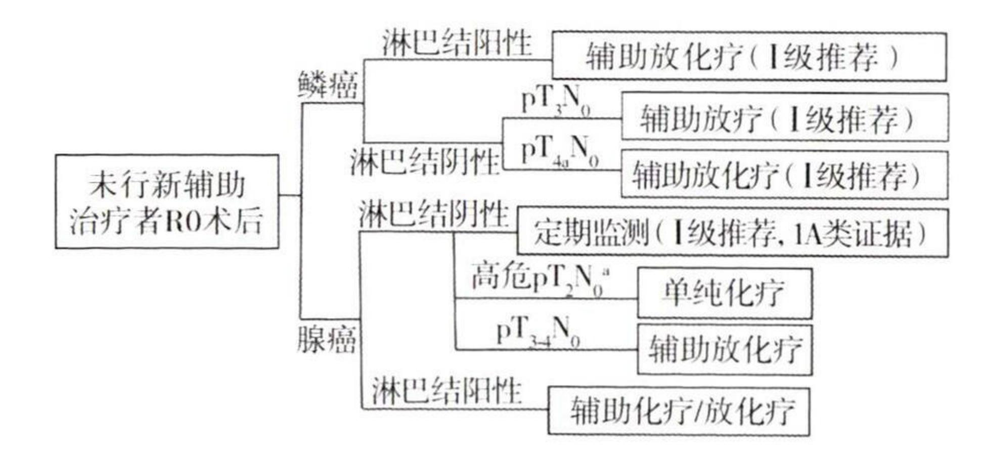 【NCCN临床实践指南:食管和食管胃交界部癌】术后辅助治疗决策流程图