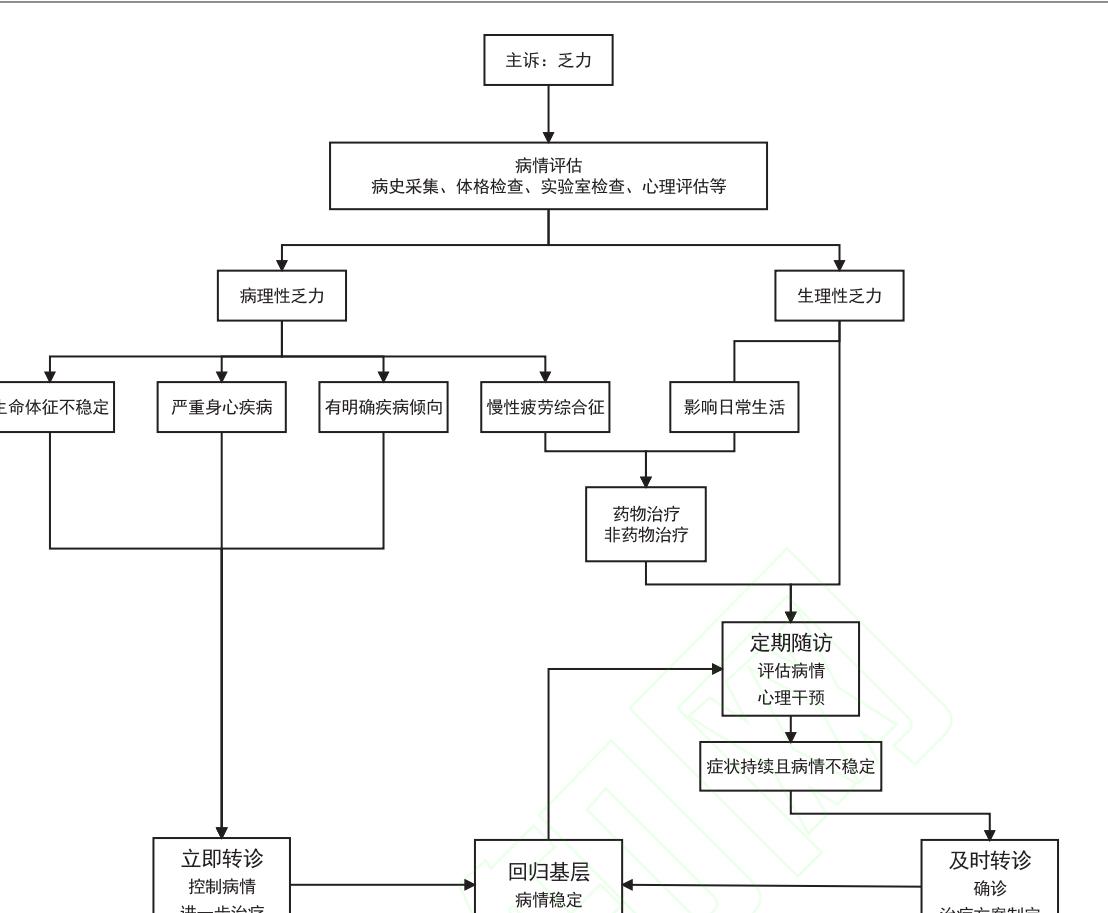 【乏力诊治与管理专家共识】乏力管理流程图