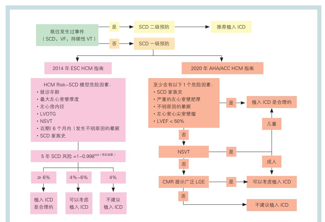 【肥厚型心肌病(HCM)猝死风险评估与ICD植入临床决策流程图】