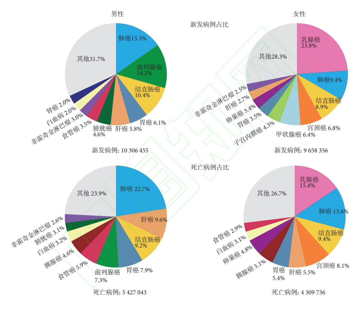 【全球癌症统计数据2022】全球男女主要癌症新发病例与死亡病例占比