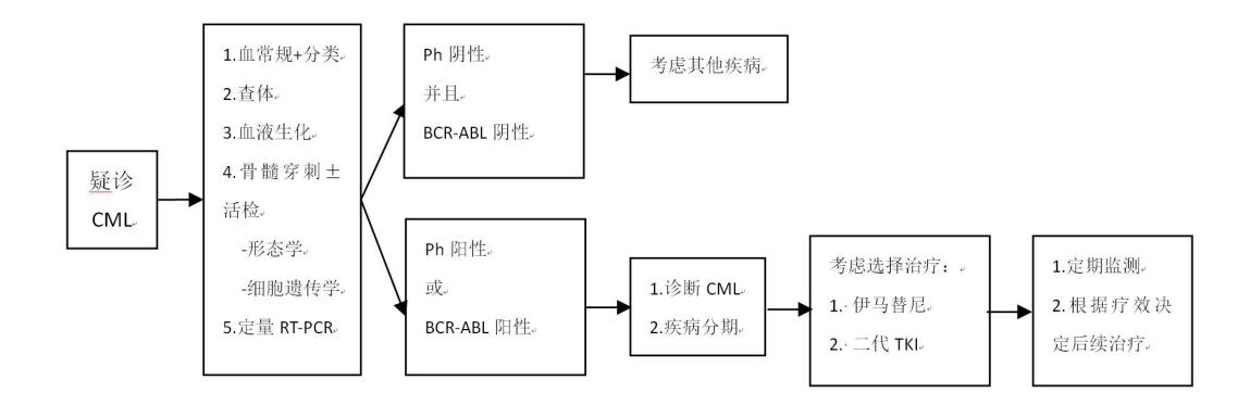 【慢性髓性白血病诊疗指南 (2022年版)】慢性髓系白血病诊疗流程图
