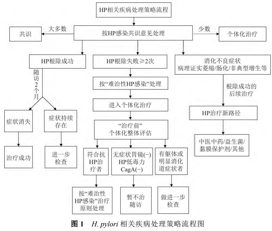 【第二次中国中西医整合治疗幽门螺杆菌相关“病-证”共识】幽门螺杆菌感染诊疗流程图