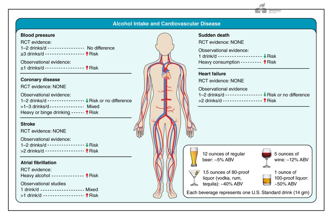 【2025 AHA科学声明:饮酒与心血管疾病】Alcohol Intake and Cardiovascular Disease