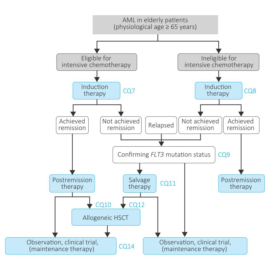 【NCCN临床实践指南:急性髓性白血病(2026.V2)】Clinical Treatment Algorithm for Younger AML Patients