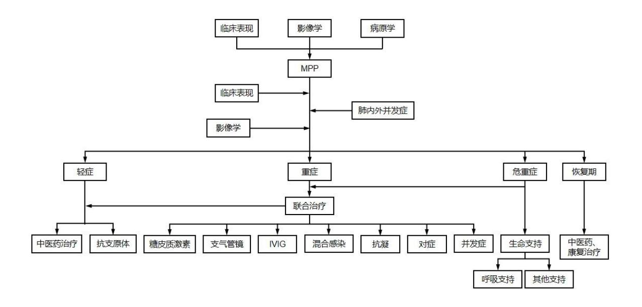 image_category: FLOWCHART/肺炎支原体肺炎(MPP)诊疗流程图 | body...