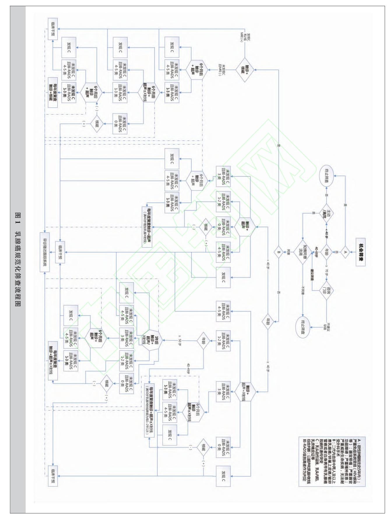 FLOWCHART/乳腺癌筛查临床路径图