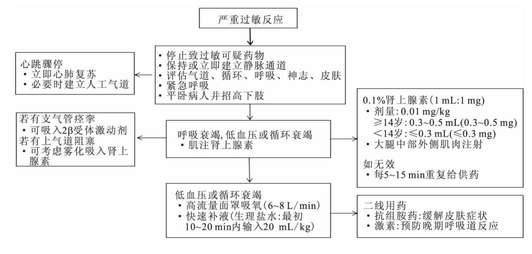 【《β内酰胺类抗菌药物皮肤试验指导原则(2021年版)》要点解读】严重过敏反应急救流程图