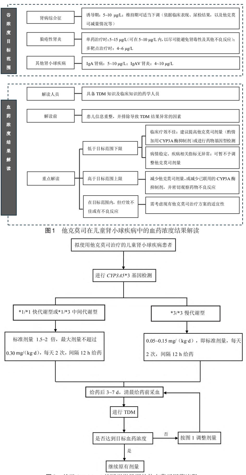 【他克莫司治疗儿童肾小球疾病的个体化用药专家共识】临床诊疗路径/用药指南
