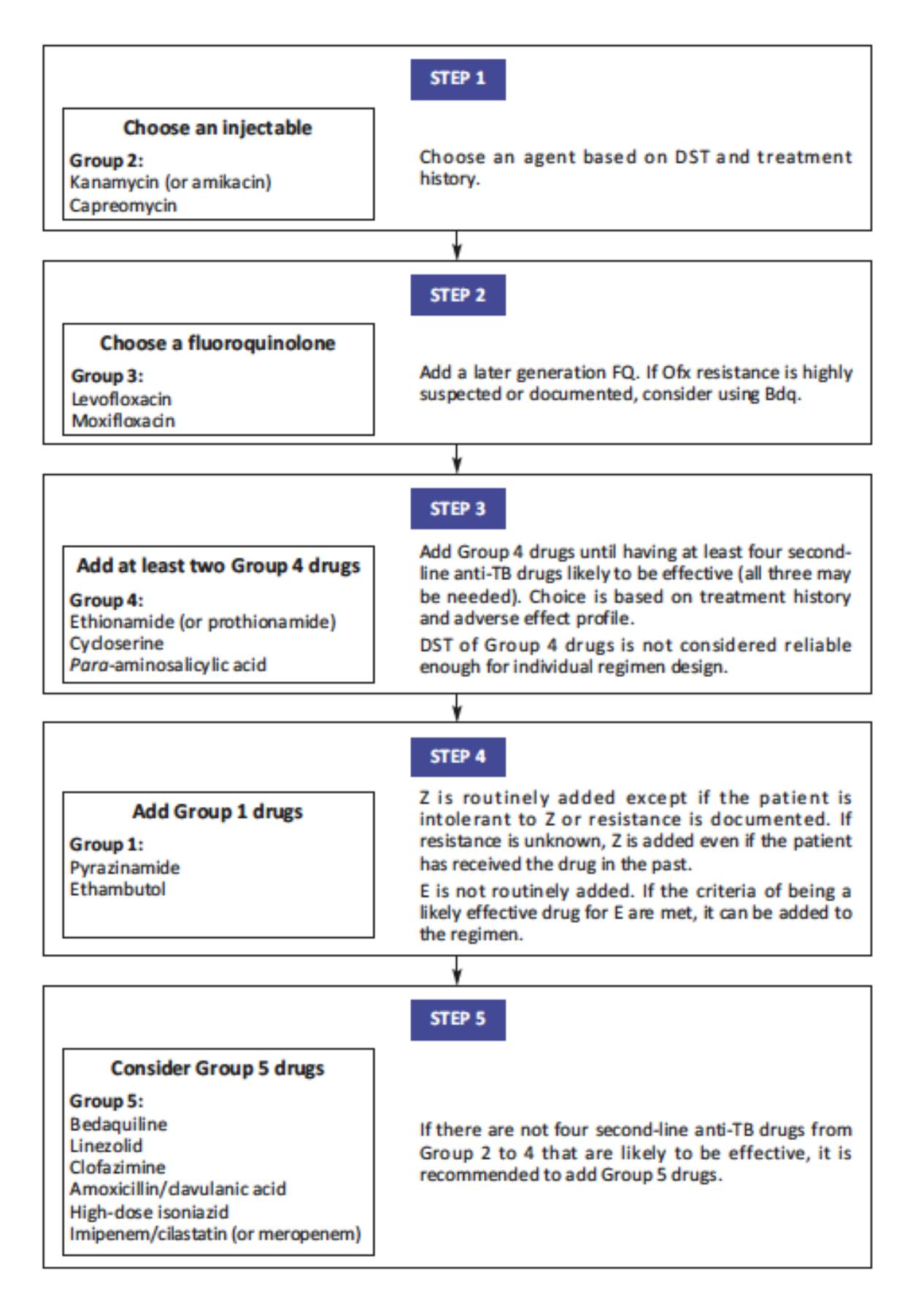 【MSF / WHO TB Treatment Algorithm】結核治療レジメン選択アルゴリズム