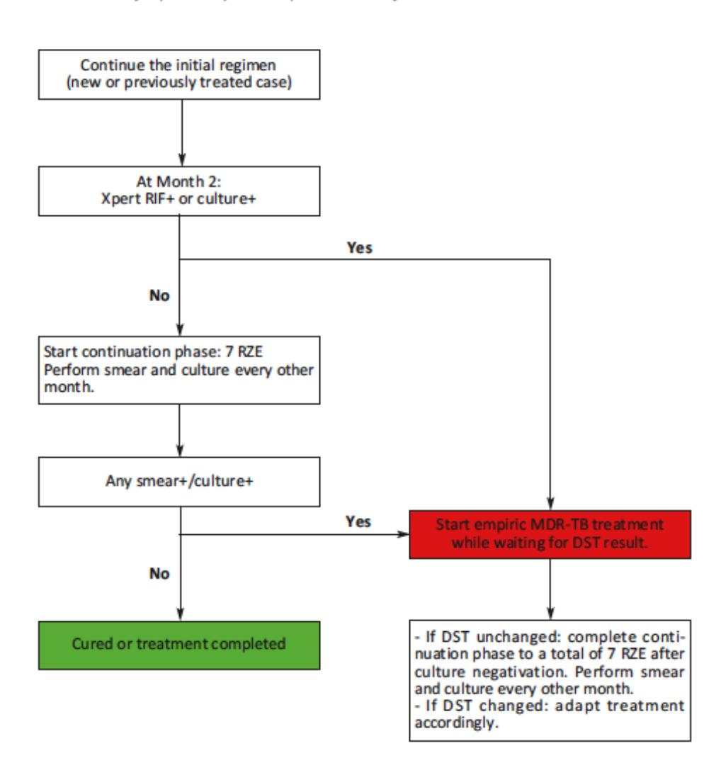 image_category: FLOWCHART/Clinical Management Algorithm for Tuberculosis | body_region: chest | specialty: Infectious Diseases | summary: A clinical flowchart detailing the management of tuberculosis treatment based on diagnostic results at month 2 and during the continuation phase.