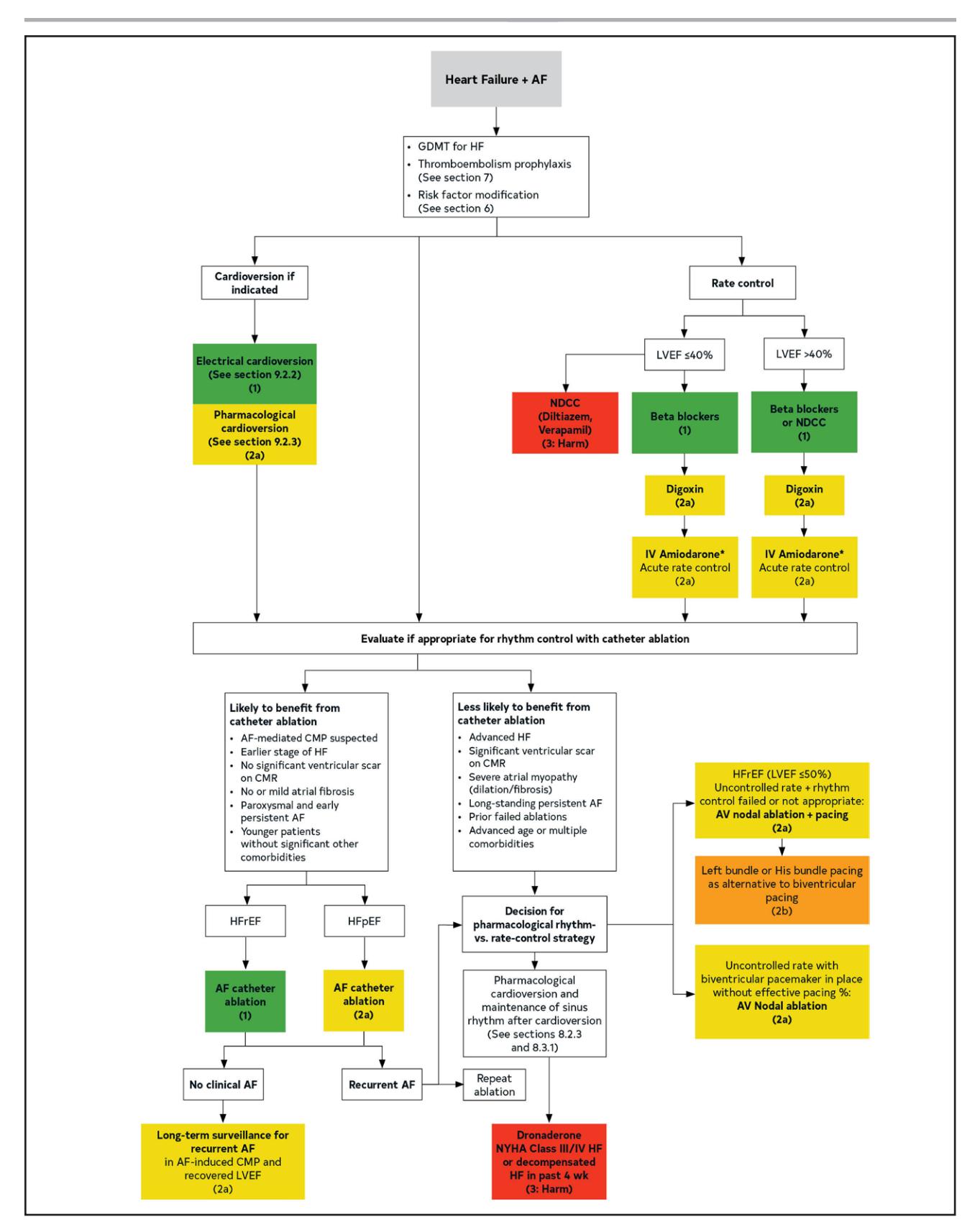 【2023 ACC/AHA/ACCP/HRS Guideline for the Diagnosis and Management of Atrial Fibrillation】Management of patients with concomitant HF and AF