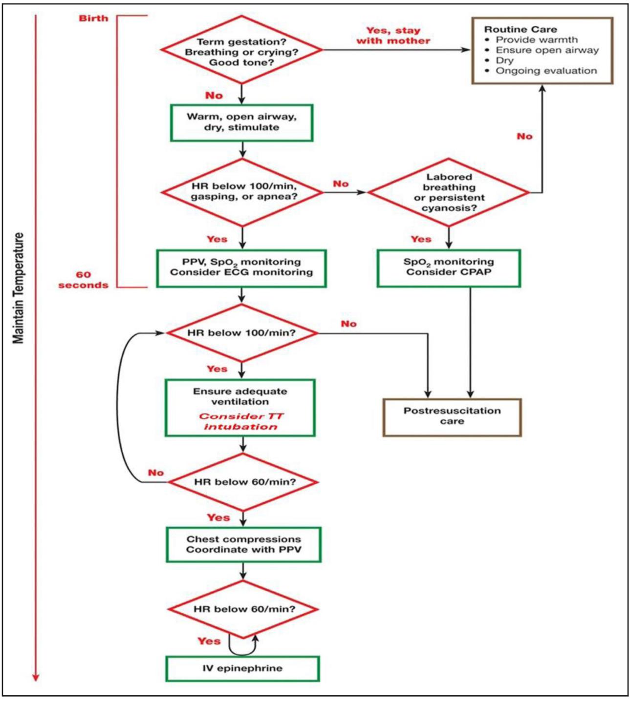 【Neonatal Resuscitation Program (NRP) Algorithm】NRP Algorithm