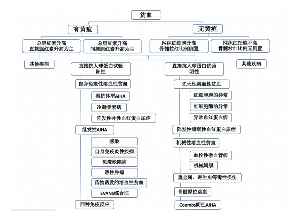 【儿童自身免疫性溶血性贫血诊疗规范(2021年版)】贫血鉴别诊断流程图