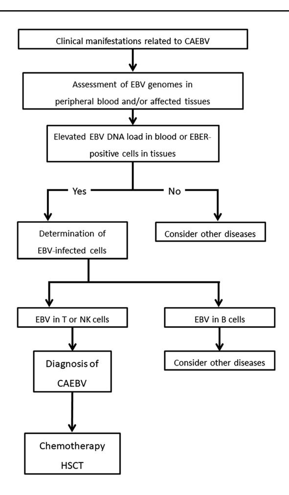【Updated guidelines for chronic active Epstein-Barr virus disease】Diagnostic and treatment algorithm