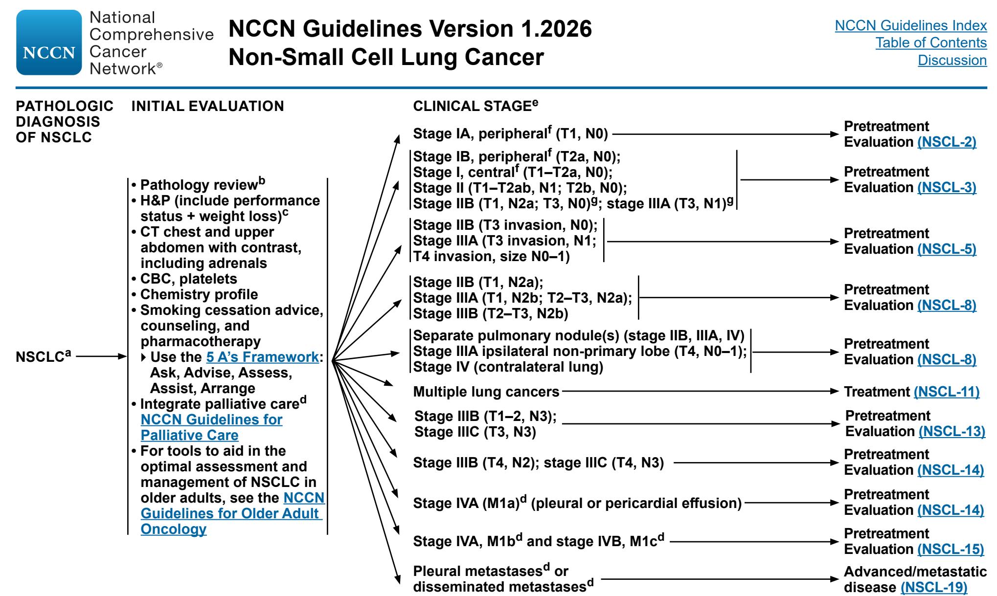【NCCN Clinical Practice Guidelines: Non-Small Cell Lung Cancer】Initial Evaluation and Clinical Staging