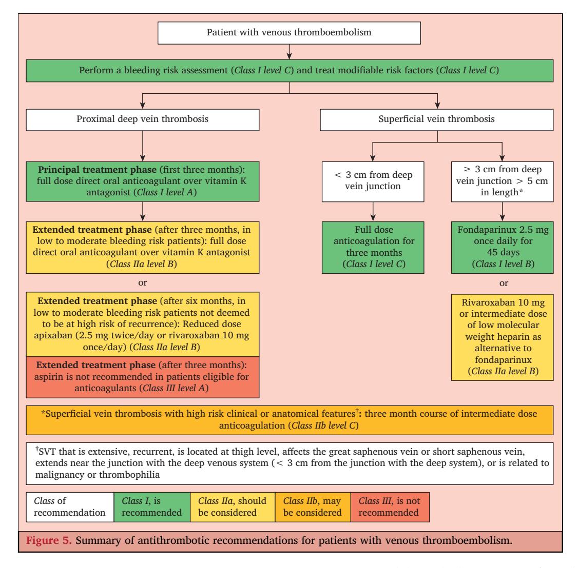 【European Society for Vascular Surgery (ESVS) 2023 Clinical Practice Guidelines on Antithrombotic Therapy for Vascular Diseases】Antithrombotic Management of Proximal DVT and SVT
