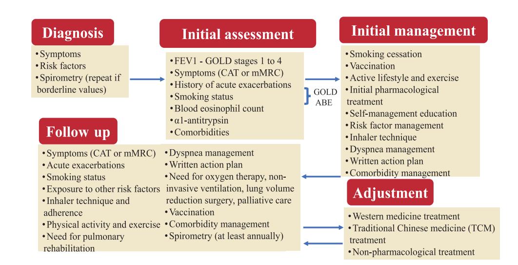 image_category: FLOWCHART/COPD management algorithm | body_region: chest | specialty: Pulmonology | summary: A comprehensive flowchart detailing the diagnosis, assessment, management, and follow-up cycle for COPD patients, integrating Western and Traditional Chinese Medicine.
