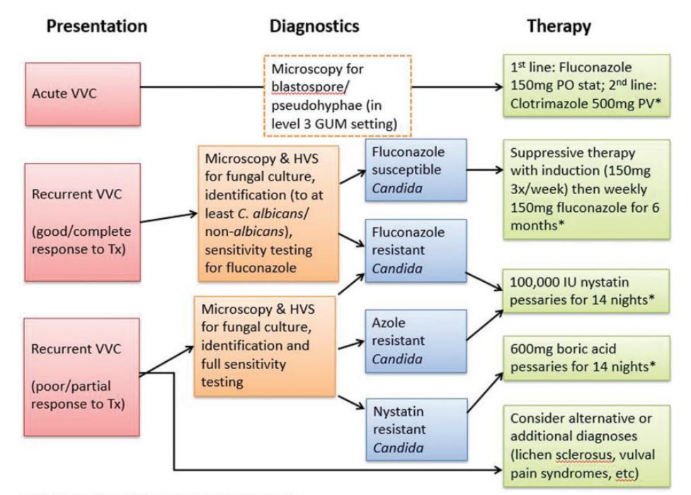 【BASHH Guidelines】VVC Management Algorithm
