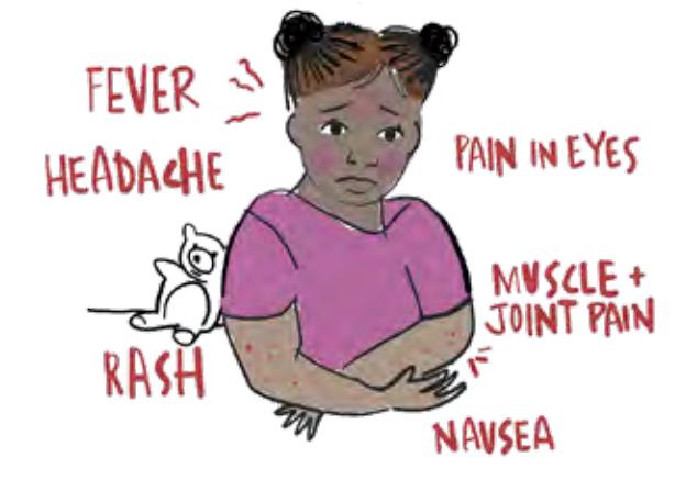 【WHO Clinical Management of Dengue】Dengue Fever Clinical Symptoms