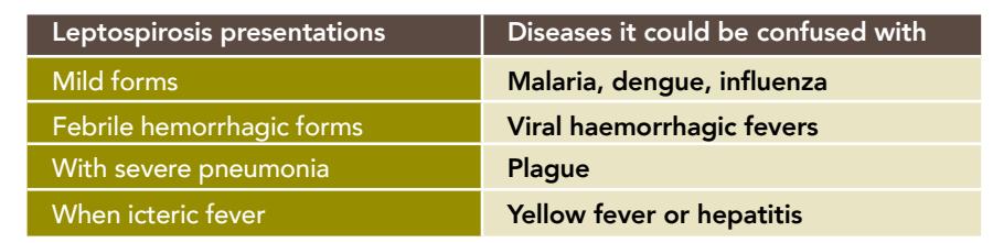 【WHO】Leptospirosis Differential Diagnosis Table
