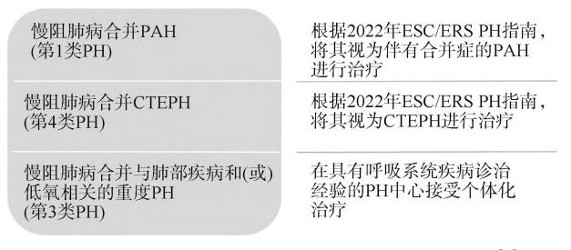【慢性阻塞性肺疾病中西医结合防治临床应用指南(2024)】COPD Pharmacological Treatment Algorithm