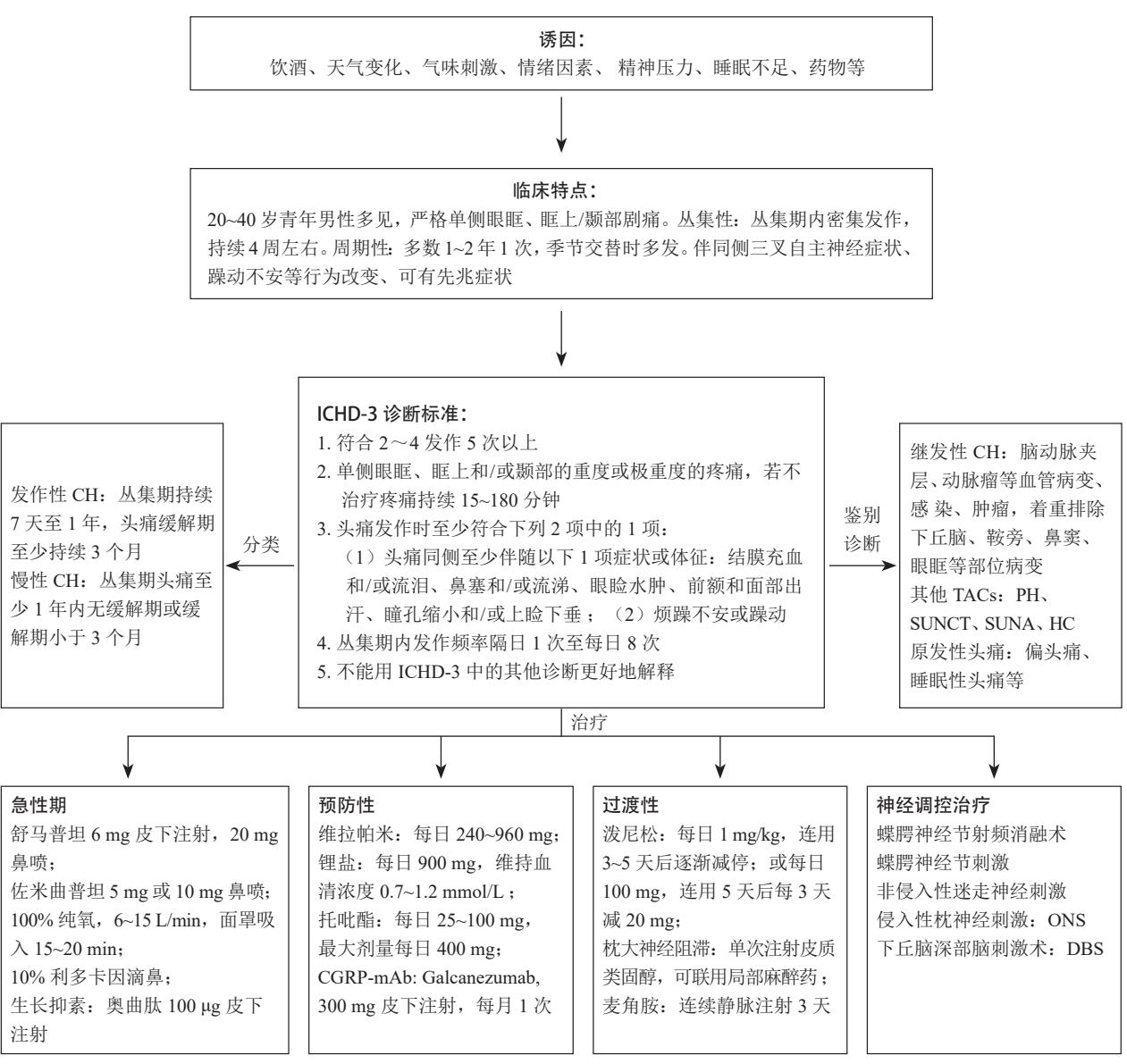 FLOWCHART/丛集性头痛诊疗流程图