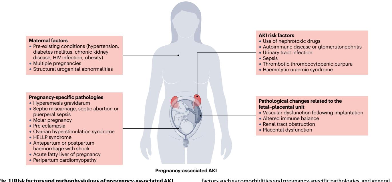 image_category: DIAGRAM/Pathophysiology diagram | ...