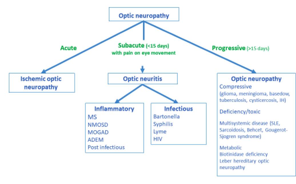 【Diagnostic algorithm for optic neuropathy】Optic Neuropathy Diagnostic Flowchart