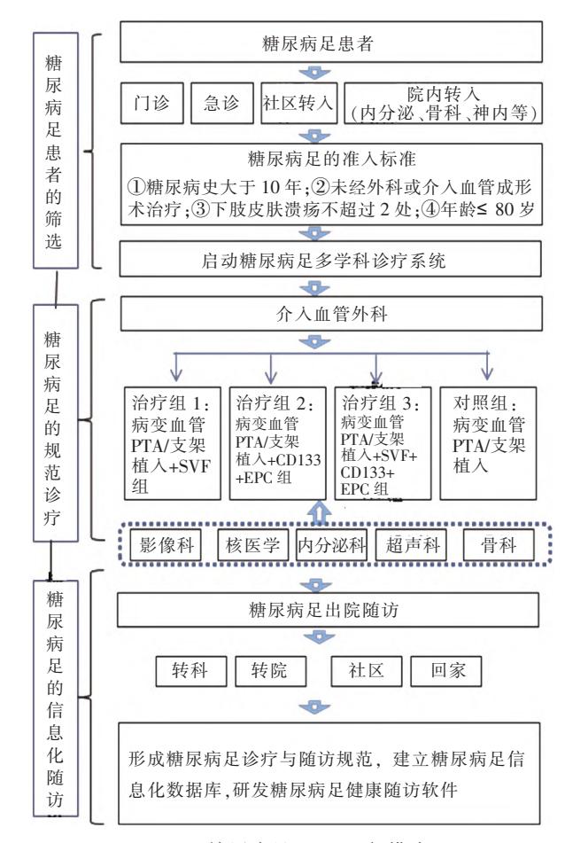 糖尿病足MDT运行模式图