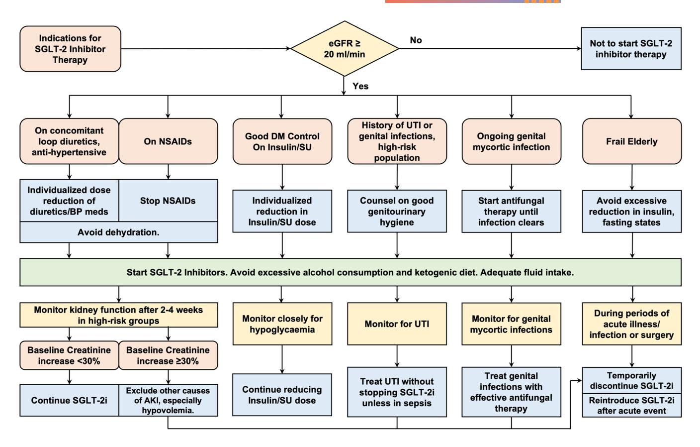 【SGLT-2 Inhibitor Management Algorithm】Clinical flowchart for SGLT-2 inhibitor therapy