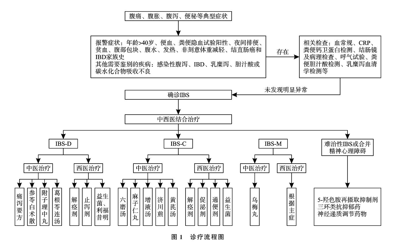 【肠易激综合征中西医结合诊疗专家共识(2025年)】肠易激综合征(IBS)诊疗流程图