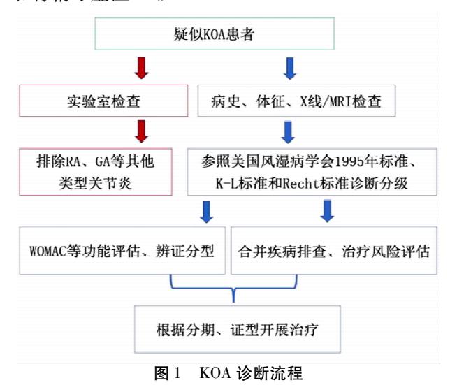 膝骨关节炎诊断流程图